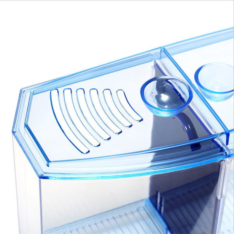 Fighter Fish Box Large Double Compartment Fighting Fish Box Eco Rumble Fish Aquarium ...