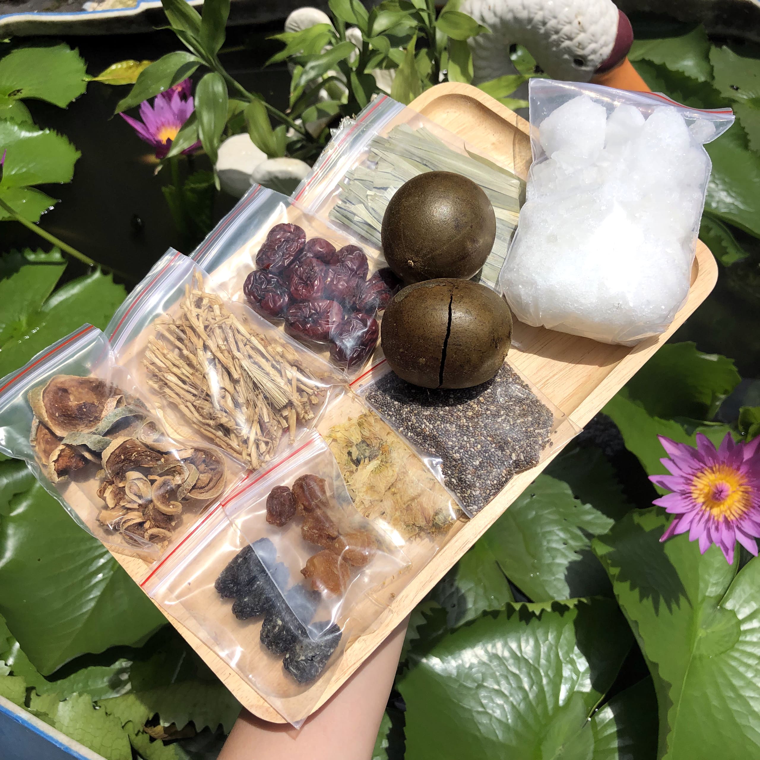 SET NẤU TRÀ SÂM BÍ ĐAO
