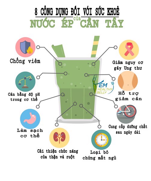 Bột cần tây sấy lạnh