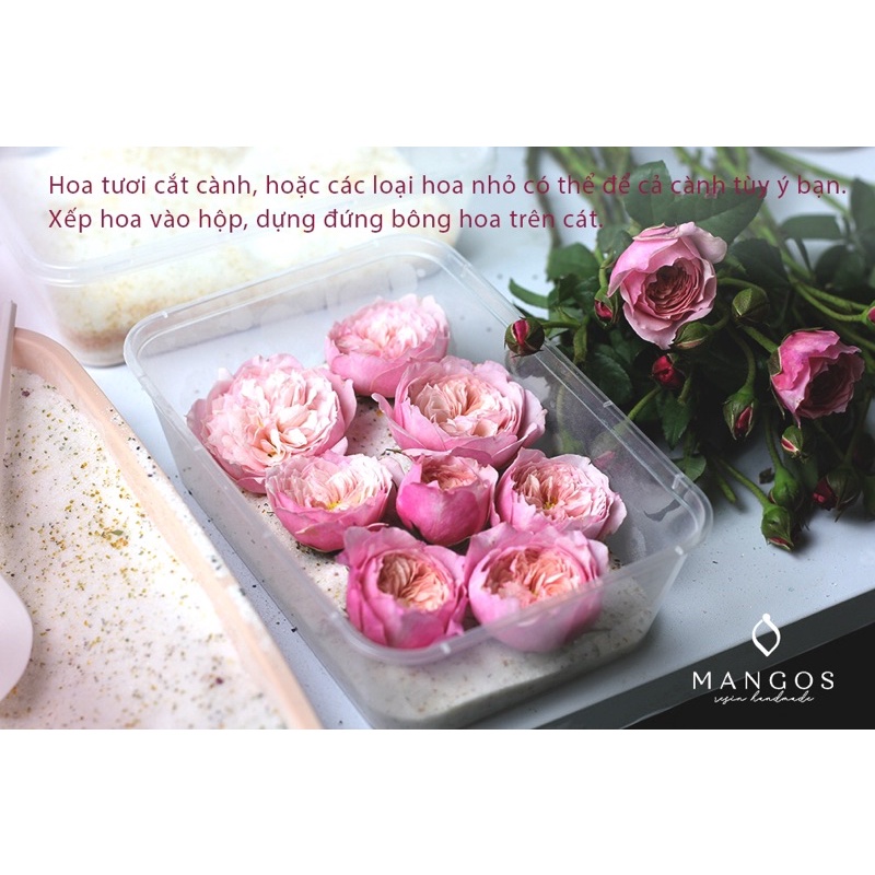 Hạt hút ẩm làm hoa khô Silica