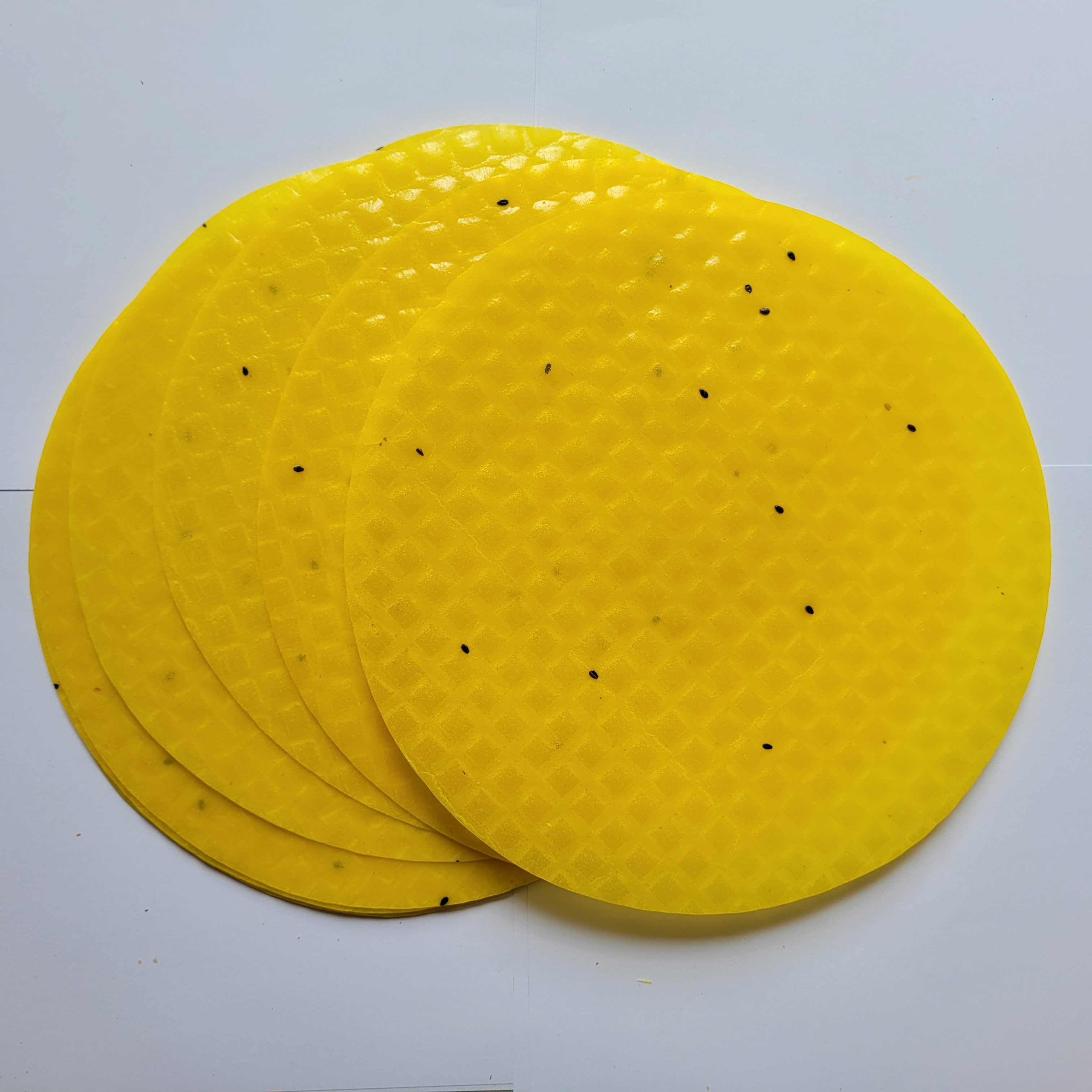 Túi 1KG Bánh tráng nướng mè vàng dùng làm bánh tráng nướng