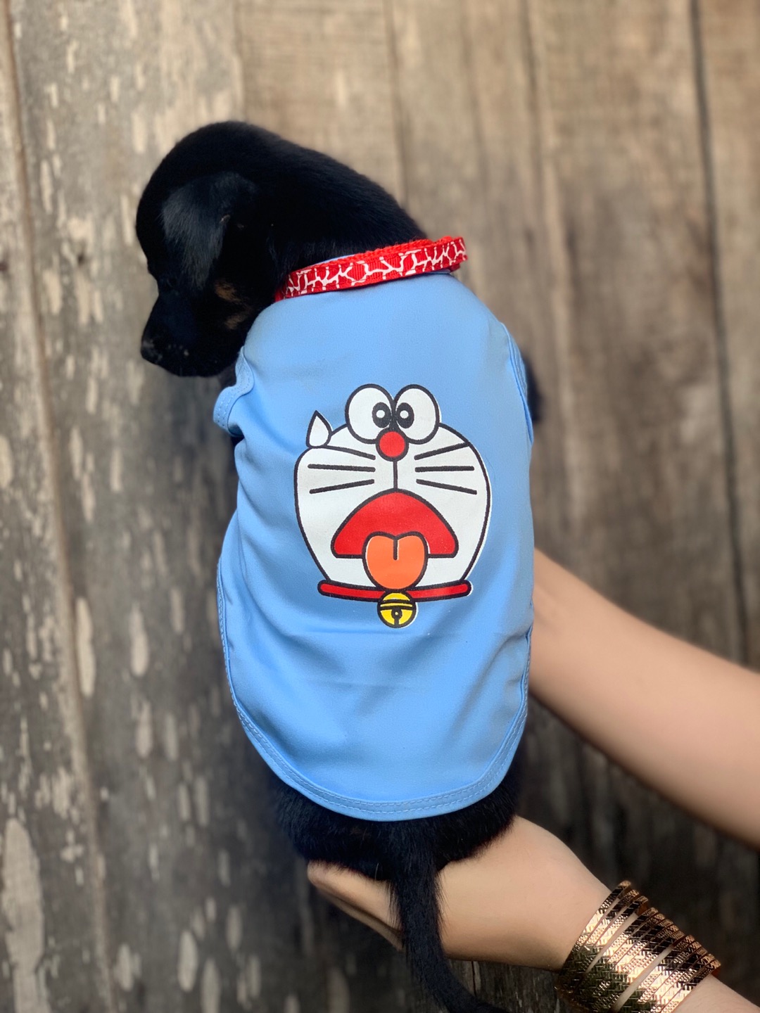 Áo cho chó mèo hình chú mèo máy doremon