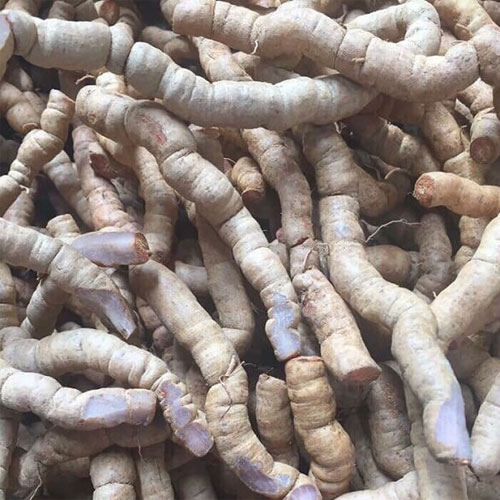 củ ba kích ,1kg củ ba kích tím tươi (hàng rừng), đã làm sạch