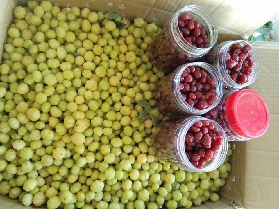 500GR MỨT CHÙM RUỘT - SƠ RI CHANH MUỐI SIÊU NGON
