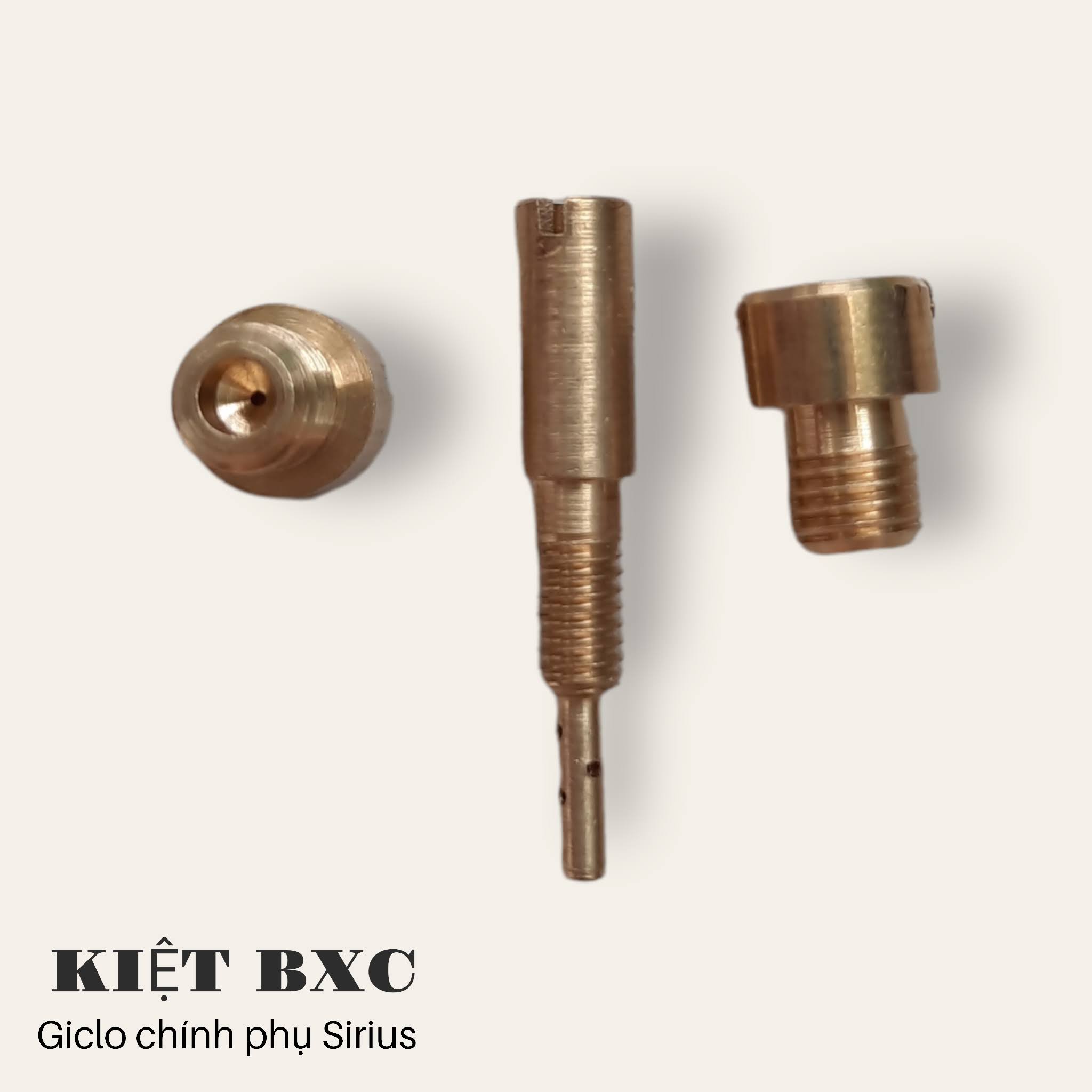 GICLO XĂNG BỘ CHẾ SIRIUS/AXELO (BÁN LẺ)