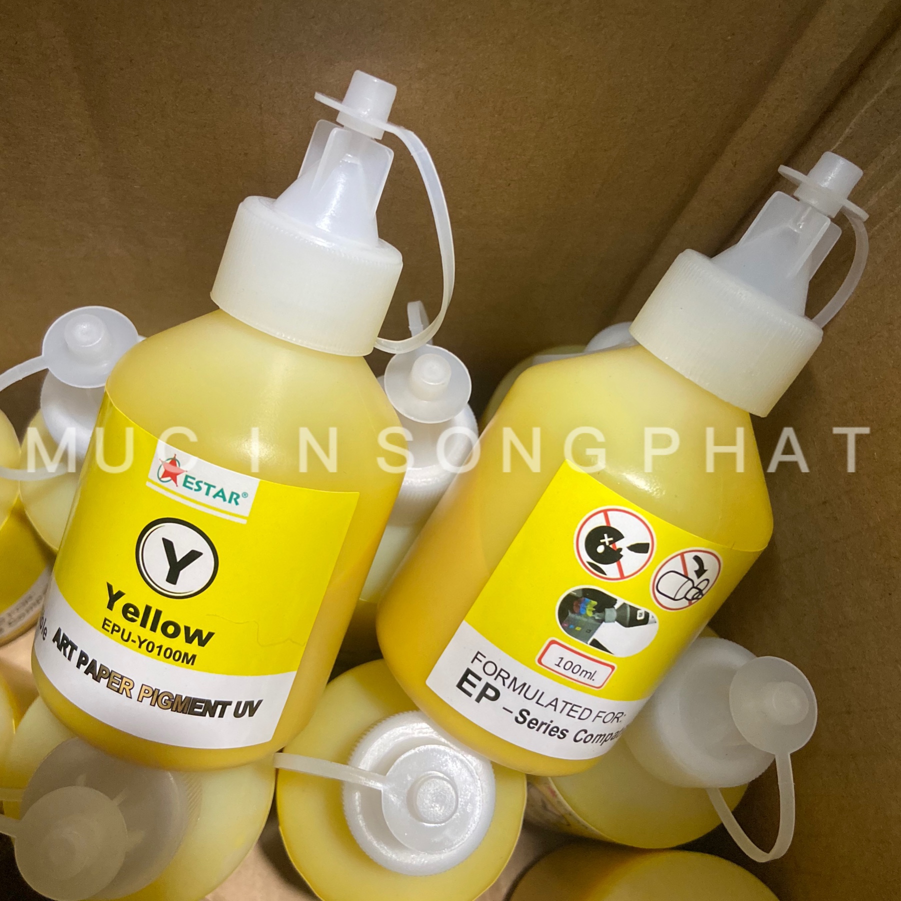 Mực dầu Pigment UV Epson 100ml (Giá tính trên 1 màu)