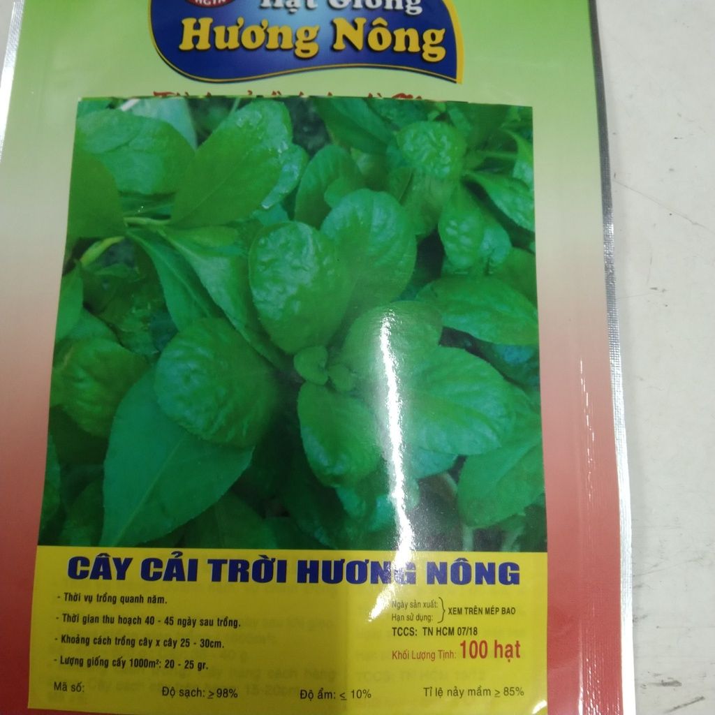 Gói 100 Hạt Giống rau CẢI TRỜI