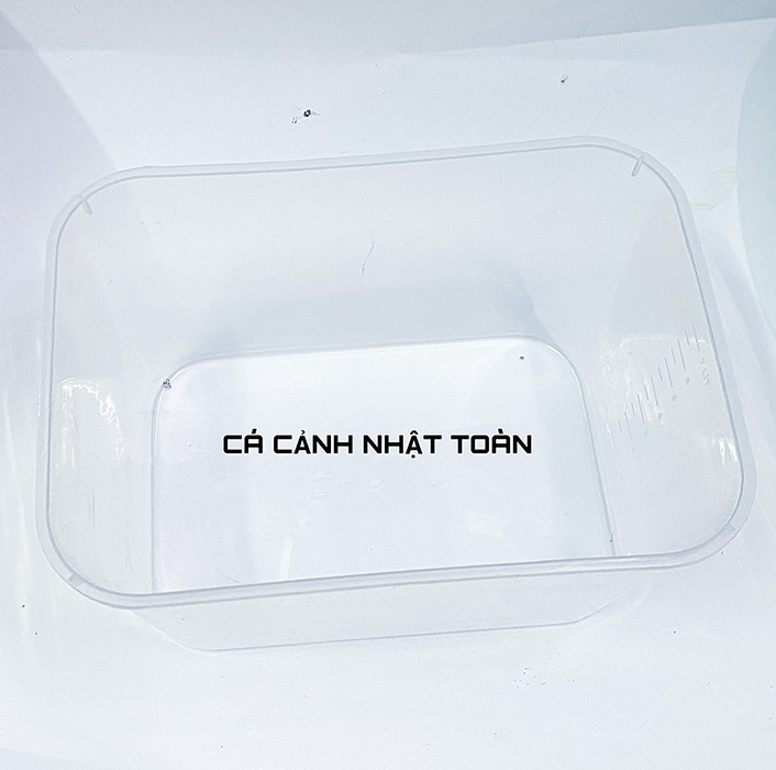 Thùng nhựa 7 lít nuôi cá bảy màu betta 30x22x16cm màu trong