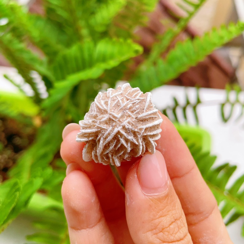 Hoa hồng sa mạc (Desert Rose) viên lẻ, Tinh thể đá