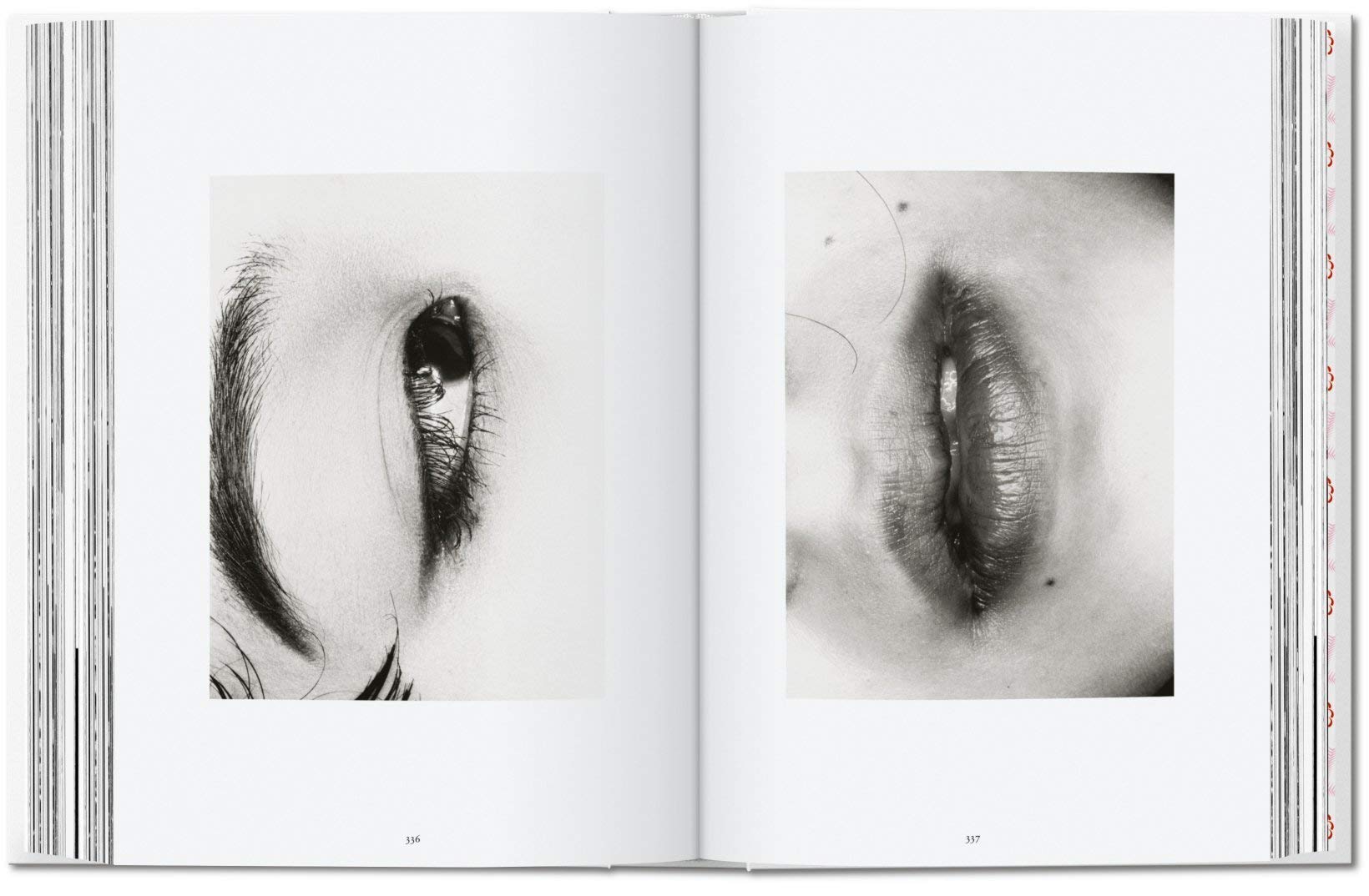 ARTBOOK - Sách Tiếng Anh - Araki