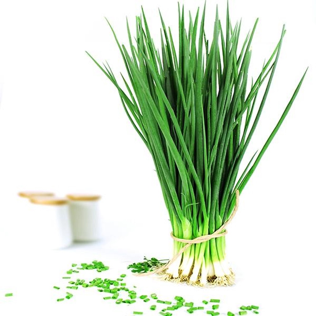 Hạt Giống Hành Lá Rado 25 gói 2.5gr