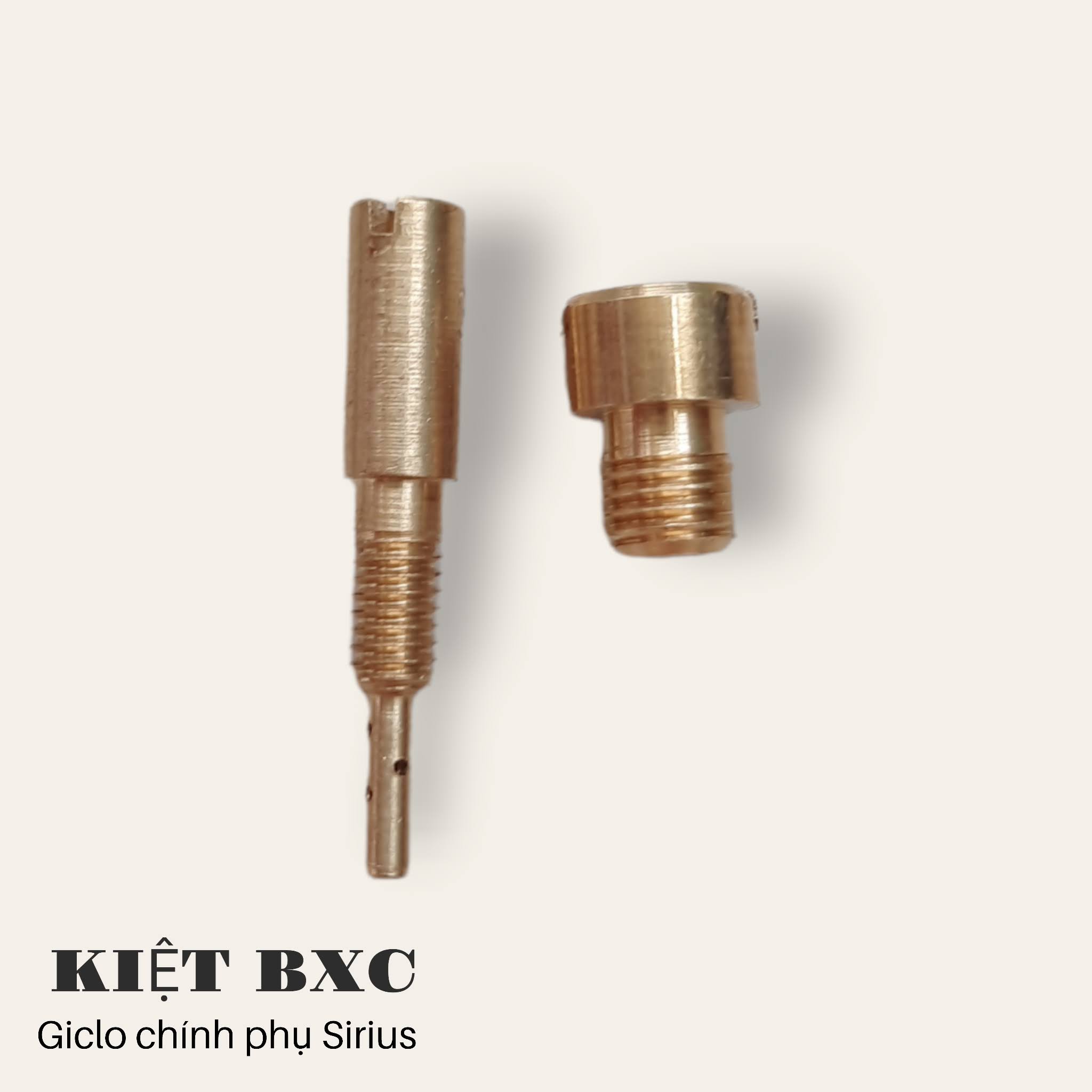 GICLO XĂNG BỘ CHẾ SIRIUS/AXELO (BÁN LẺ)