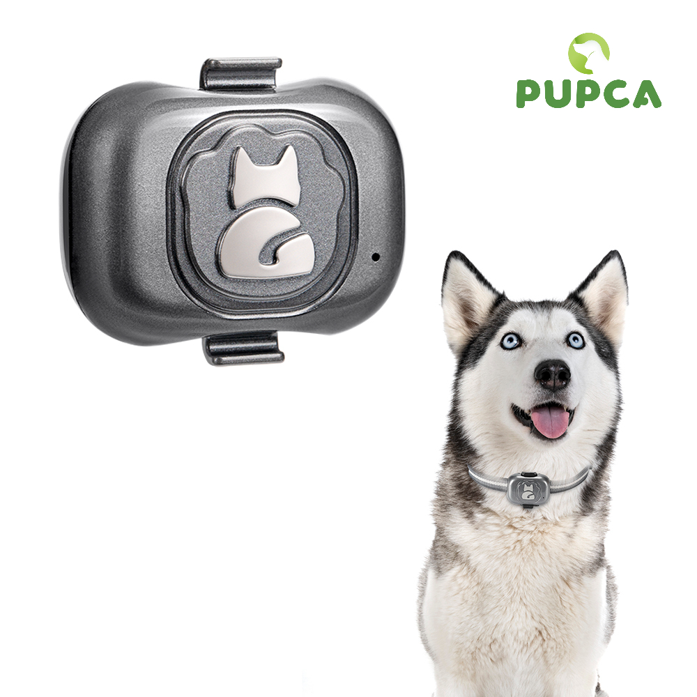 Future gps hot sale pet tracker