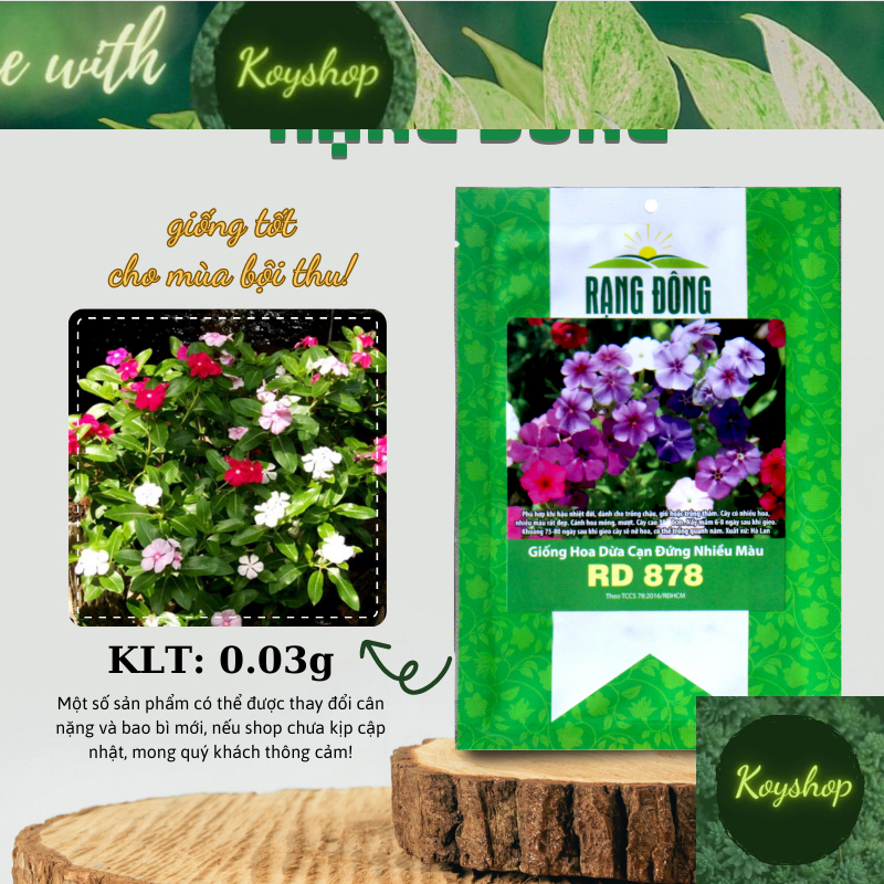 Hạt giống Hoa trồng chậu, mùa vụ quanh năm, Hạt giống hoa dễ nảy mầm - Hạt giống Rạng Đông