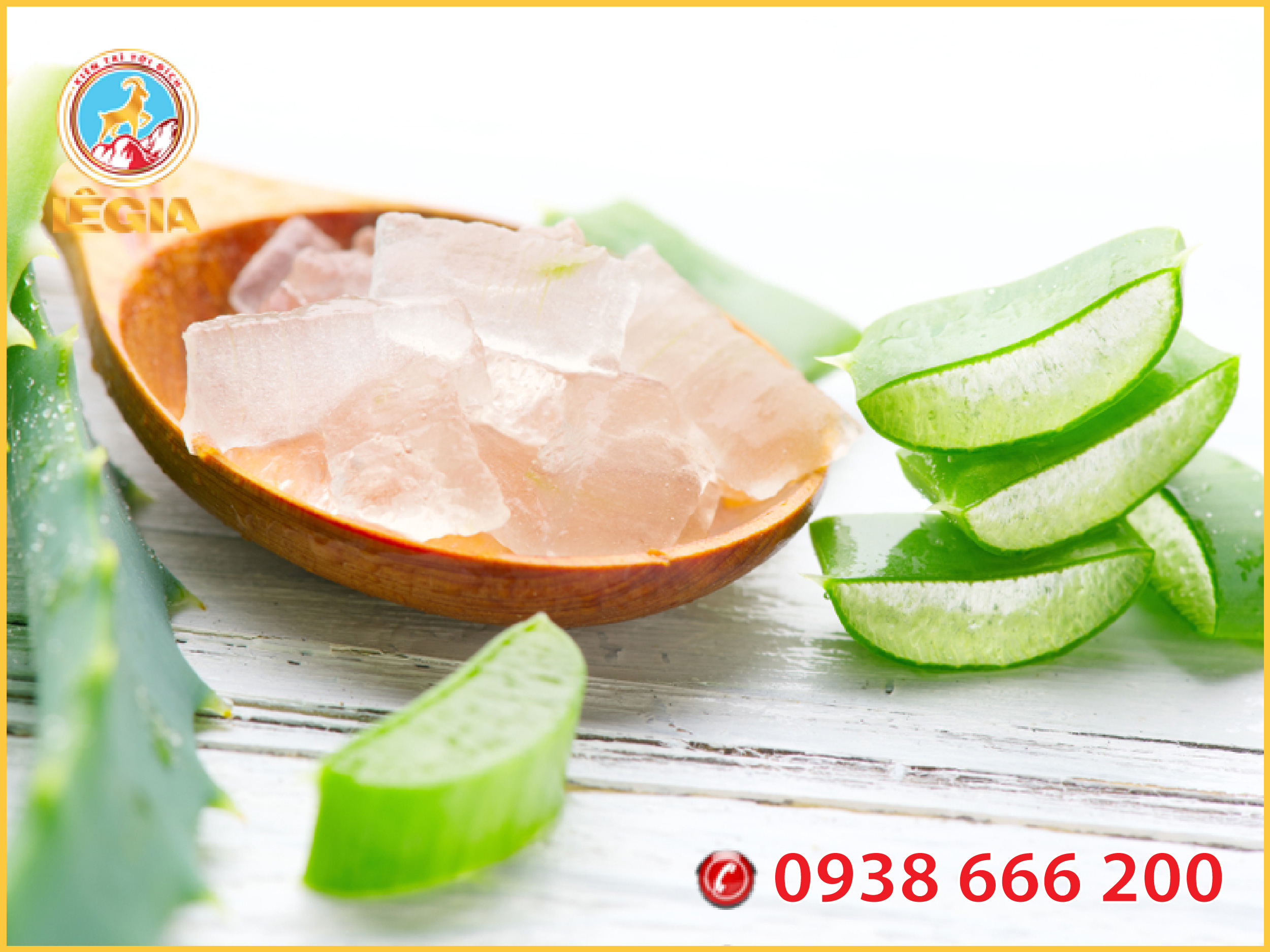 Thạch Nha Đam AVILA 1KG