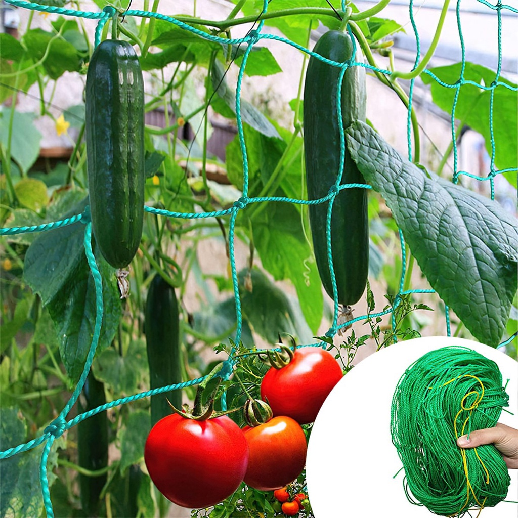 Lưới trồng cây ( dây leo giàn )-nhiều kích thước-CA666