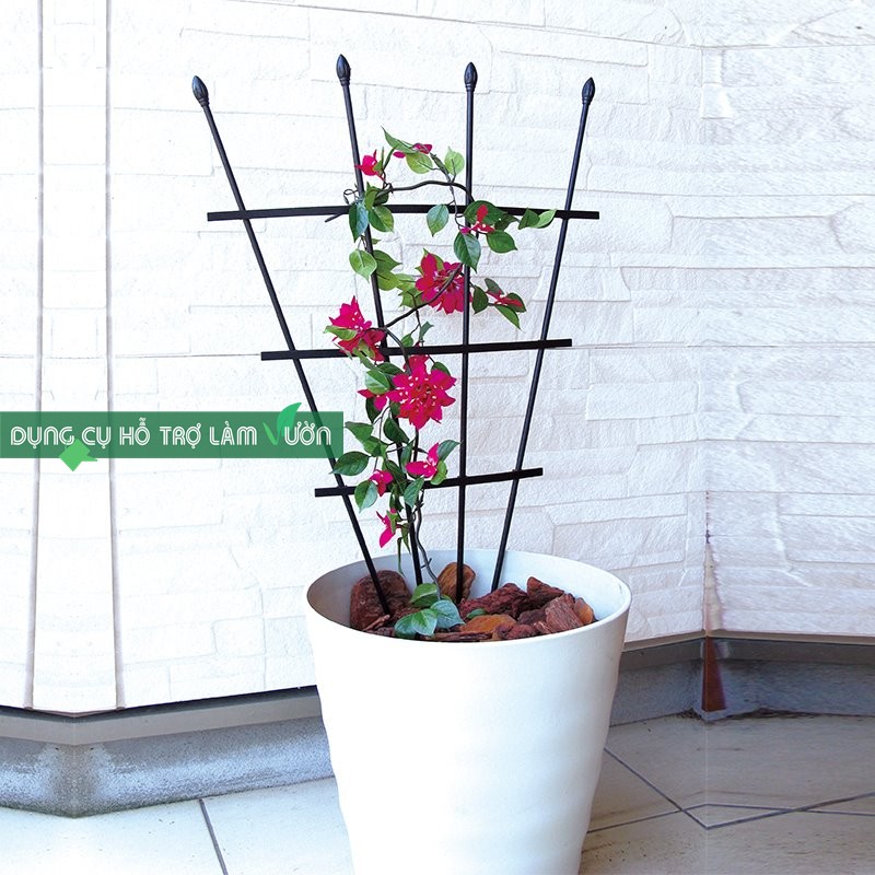 Khung trồng cây hình quạt cao 90-120cm chuyên trồng hoa leo