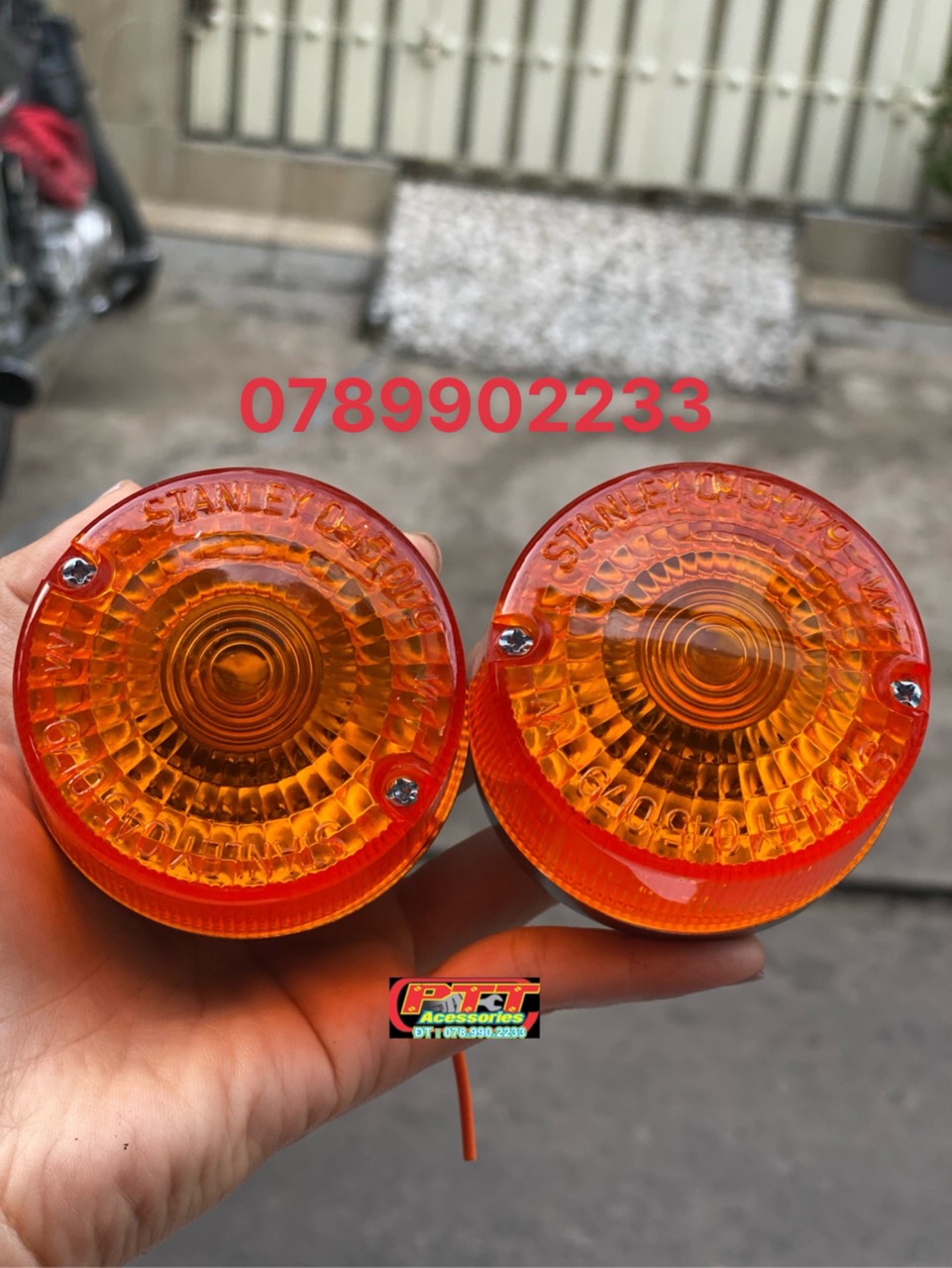 Xi nhan trước cub 81