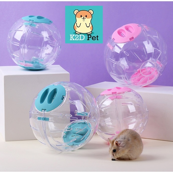 Bóng chạy, bóng chạy thể dục cho hamster, sóc