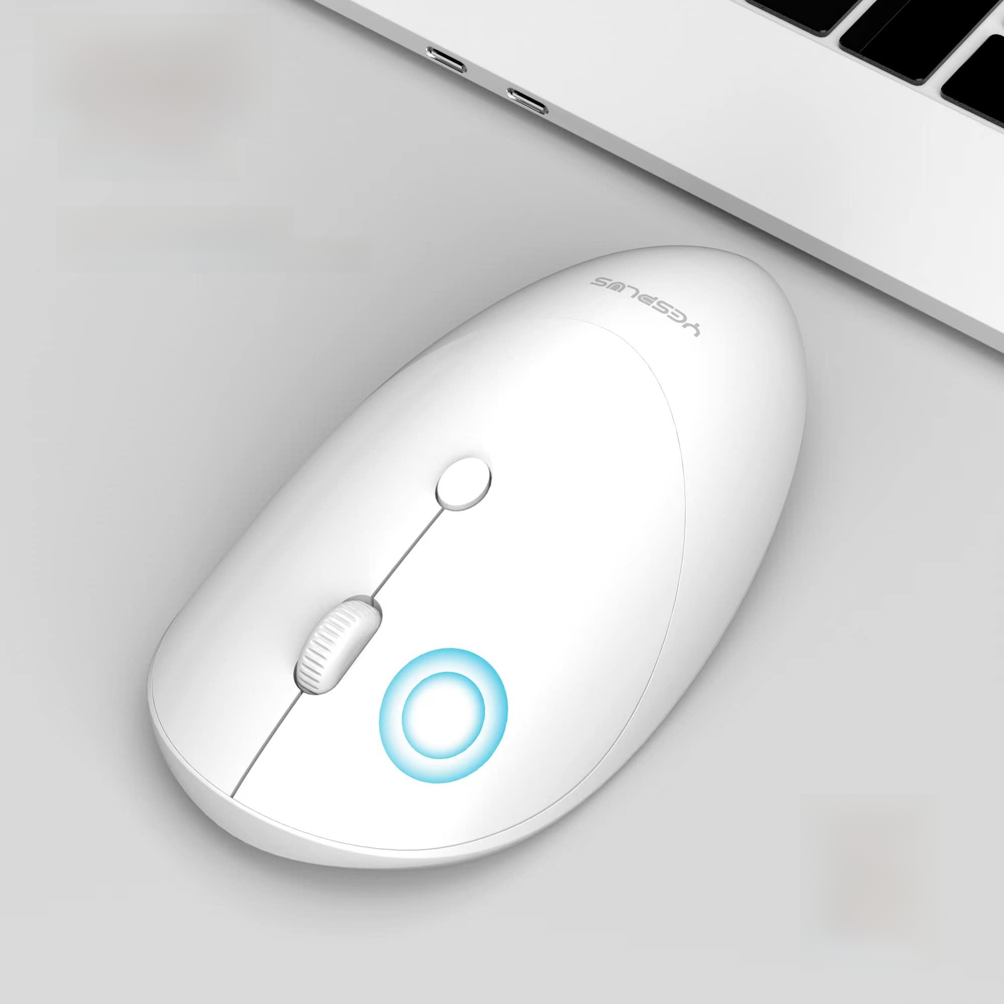 Yesplus YESPLUS YS-1303 Black and white.2.4G wireless business mouse | Daraz.com.np
