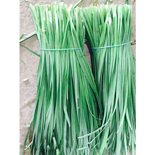 [HCM]Hạt Giống Hẹ Ta _gói 1gram .