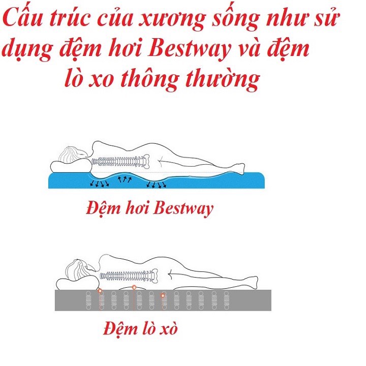 Đệm hơi cao cấp bestway 67000 kèm bơm