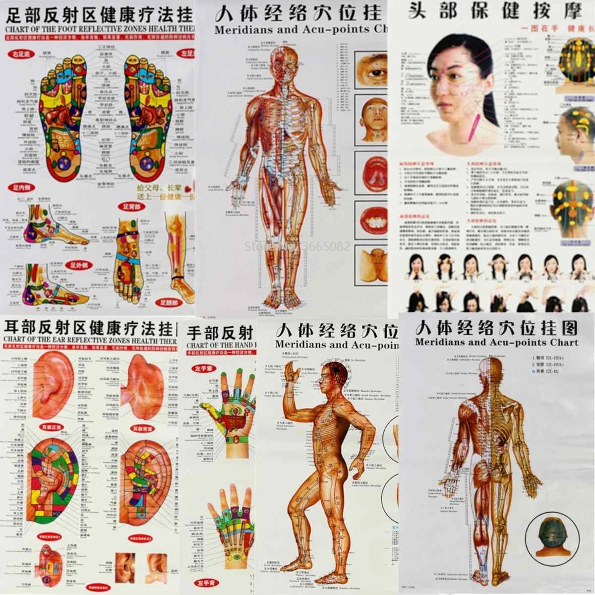 【sought-after】 7/3/1pcs/set Handfootearbody Meridian Points Of Human ...