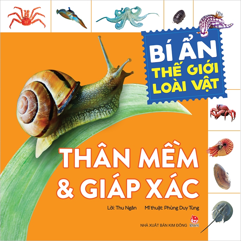 Sách ( 2023 ) - Bí ẩn thế giới loài vật ( 6c )