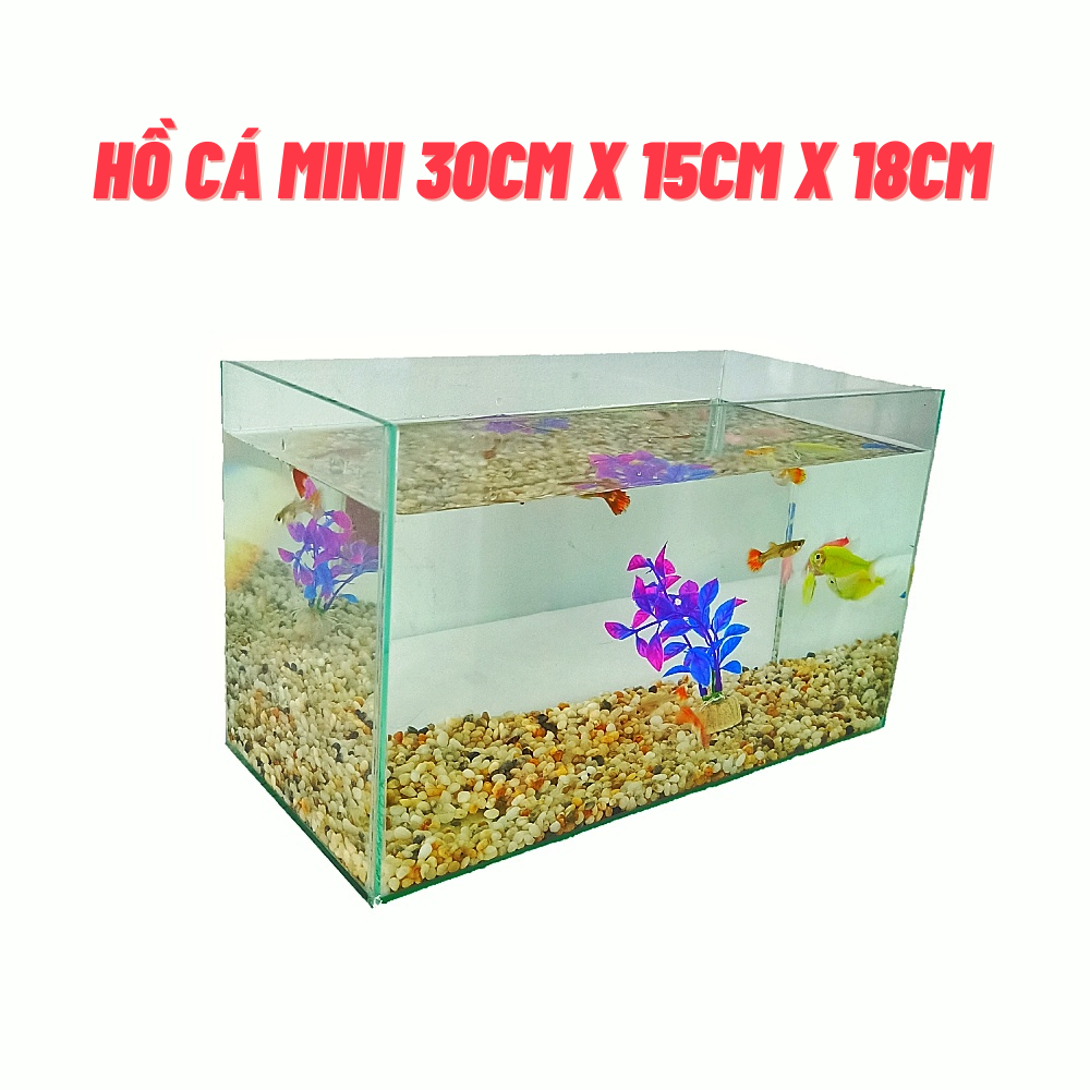 Hồ cá mini [30cm x 15cm x 18cm] để bàn tặng phụ kiện