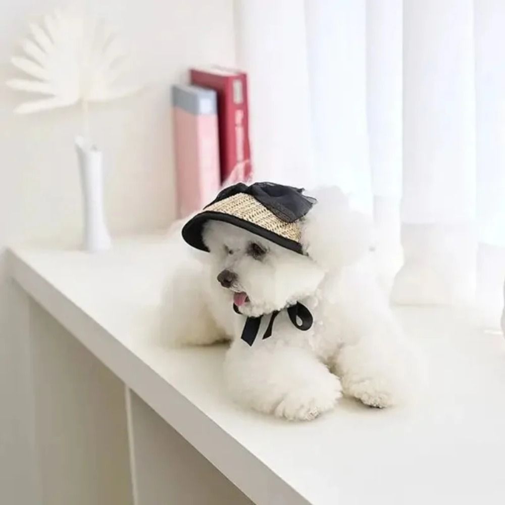 Pet%20Outdoor%20Supplies%20Adjustable%20Lace%20Dog%20Sunscreen%20Hat%20Portable%20Bowknot%20Dog%20Straw%20Hat%20Cute%20Pet%20Summer%20Cap%20Cat%20-%20Image%204