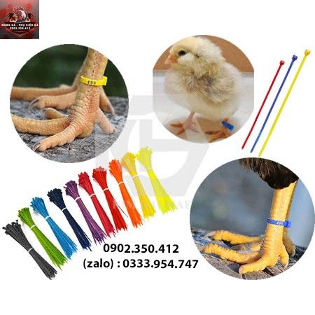 Dây rút màu đánh dấu chân gà 100 sợi