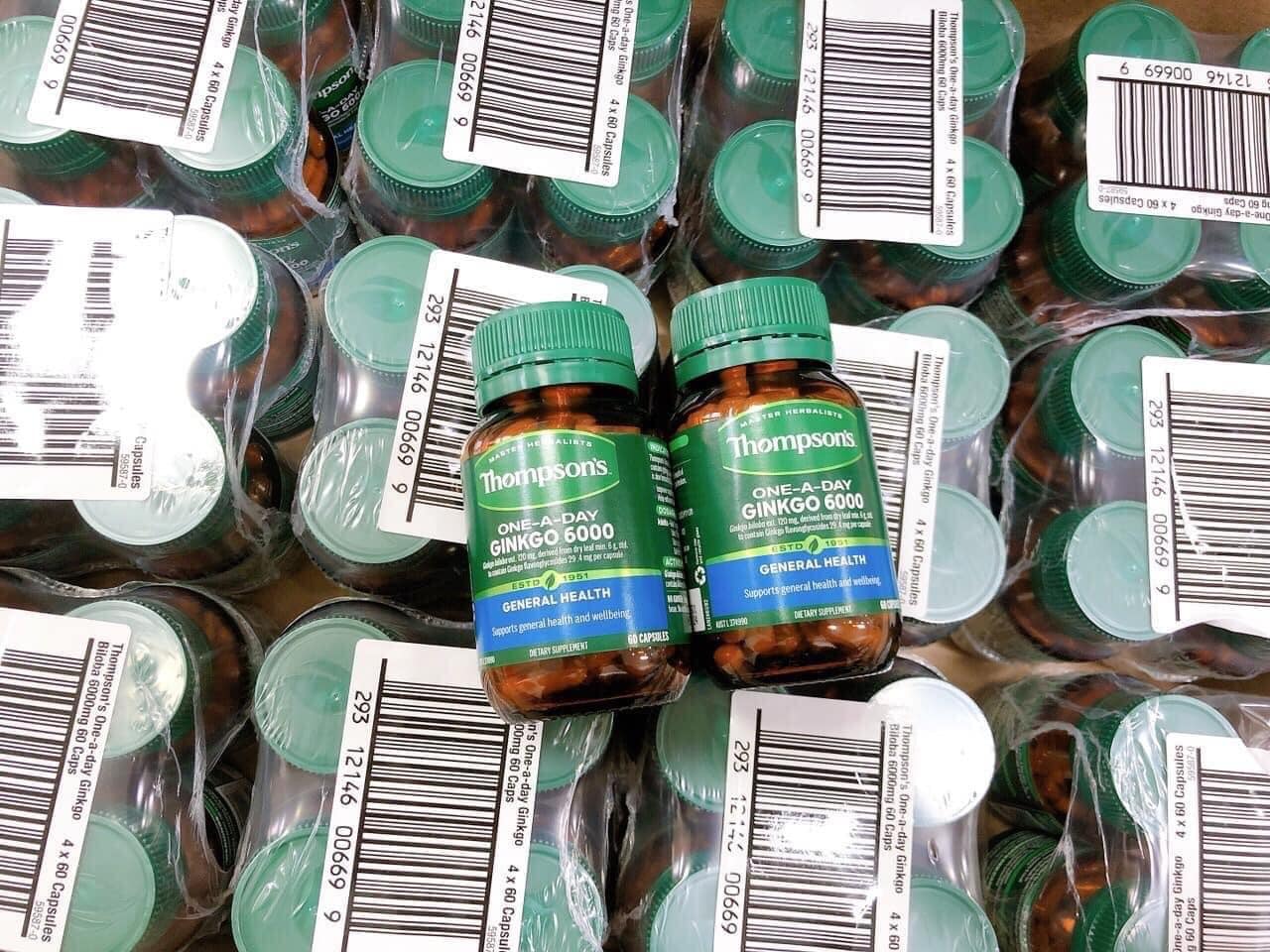 Thompson Ginkgo 6000mg