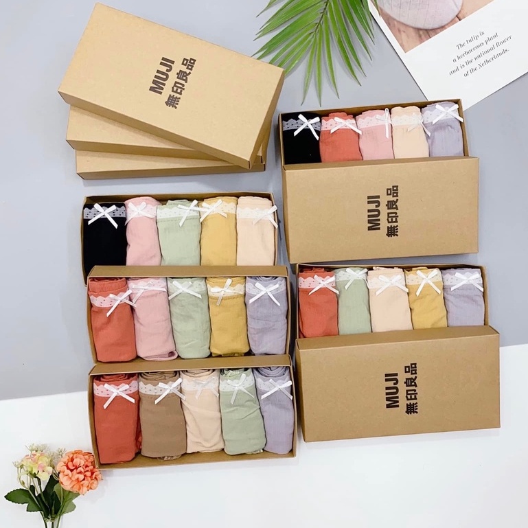 Quần Lót Nữ Kháng Khuẩn, Chất Cotton Co Dãn 4 Chiều Evalim