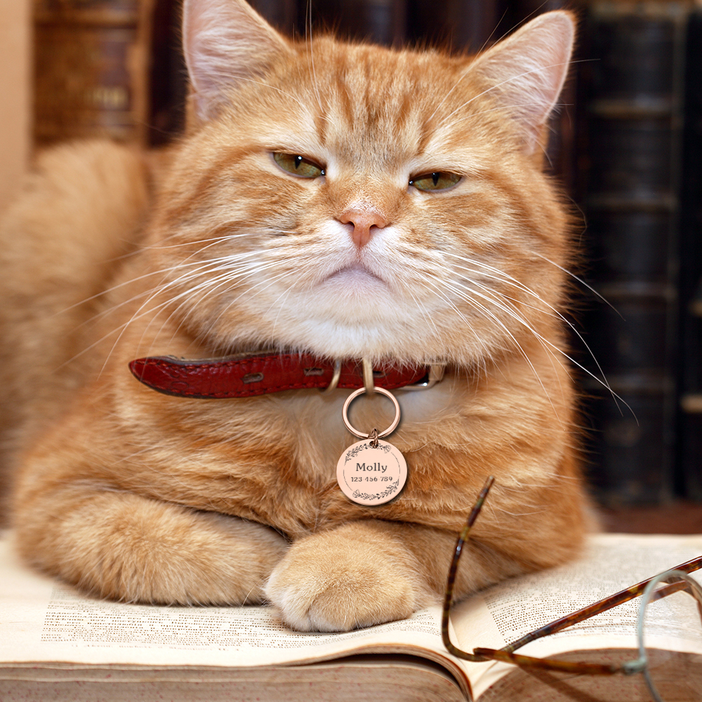 Personalized%20Pet%20Cat%20Dog%20Id%20Tag%20Collar%20Accessories%20Custom%20Engraved%20Necklace%20Chain%20Charm%20Supplies%20For%20Dog%20Tag%20Name%20Products%20-%20Image%207