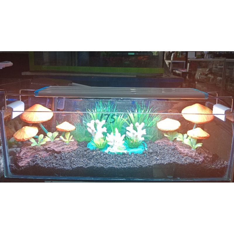 LAMPU ATAS AQUARIUM LED LUCKINESS 658