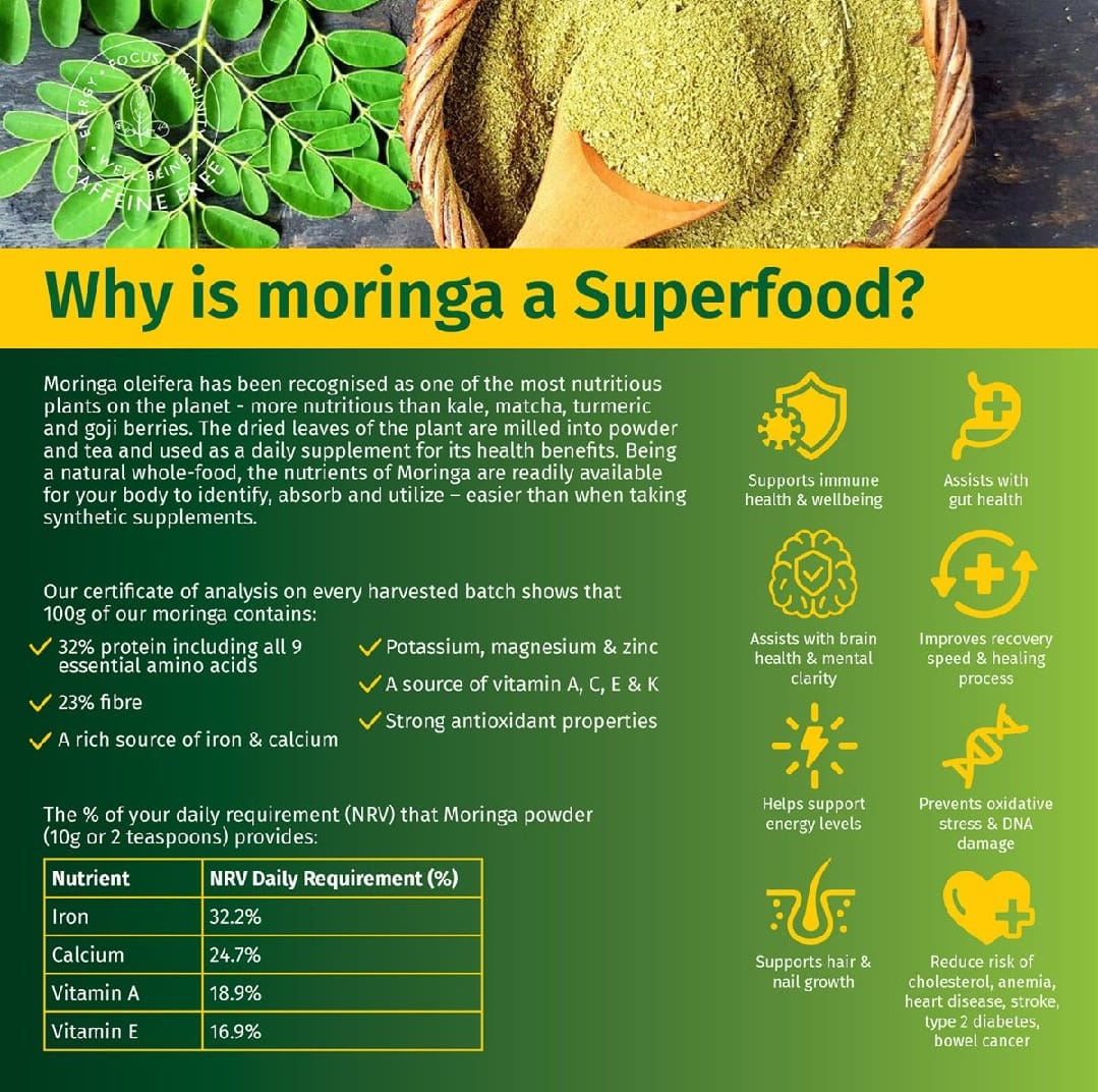 Moringa Powder 1 kg  ( Sitalchini Powder) | Moringa Good For Health and Immunity Power. 