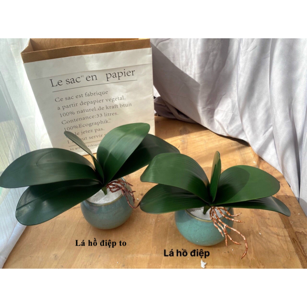 Lá Lan, Lá Hồ Điệp Chất Liệu Cao Su