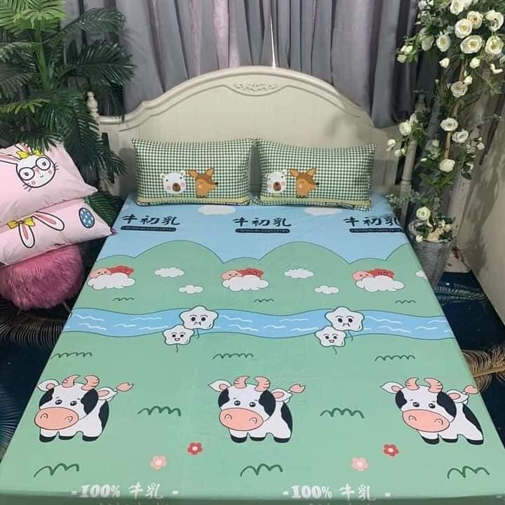 Ga chống thấm cotton nano kháng khuẩn cao cấp loại 1 dầy cỡ 1m6×2m và 1m8x2m