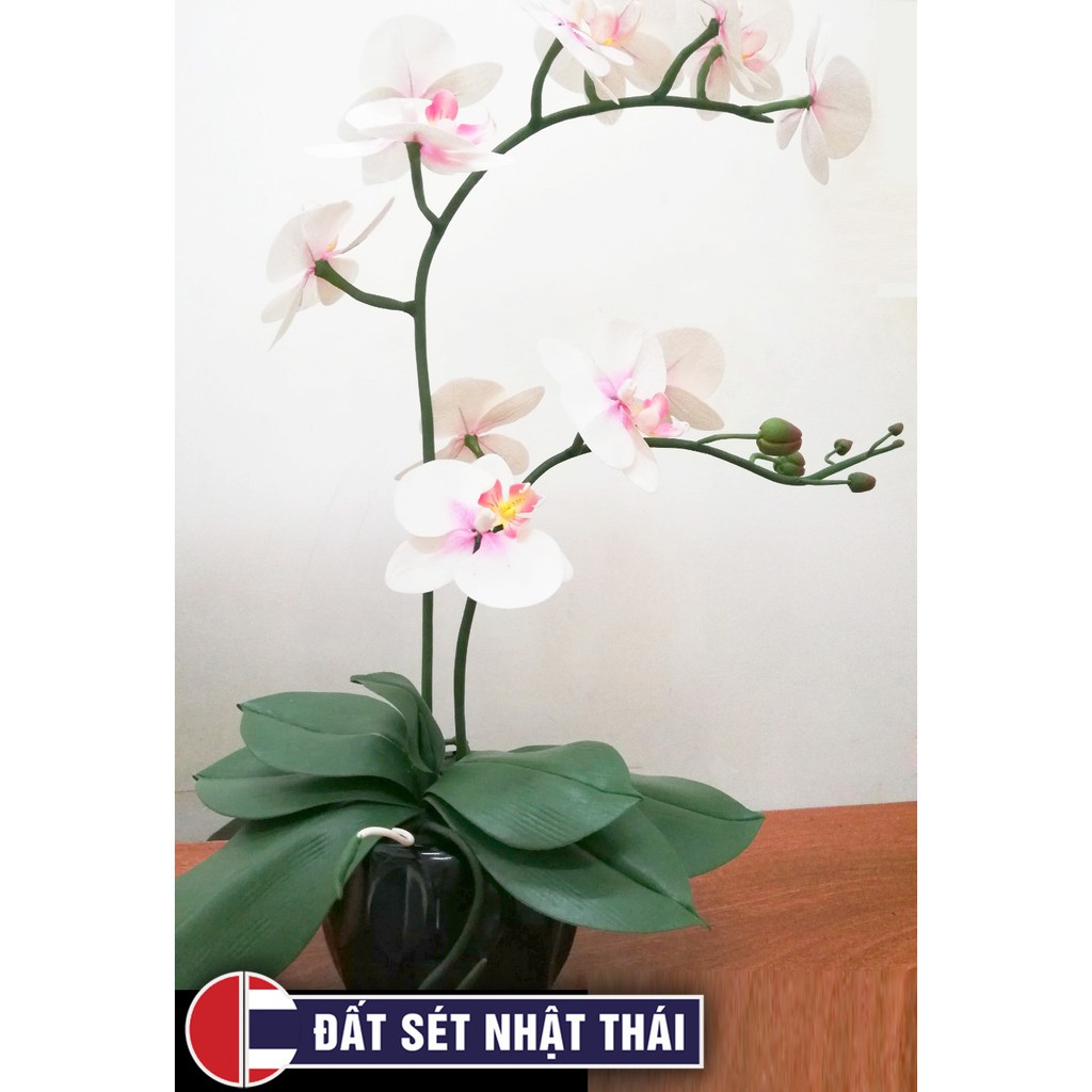 Đất Sét NHẬT THÁI SIÊU NHẸ LÀM HOA ĐẤT SÉT CHUYÊN NGHIỆP