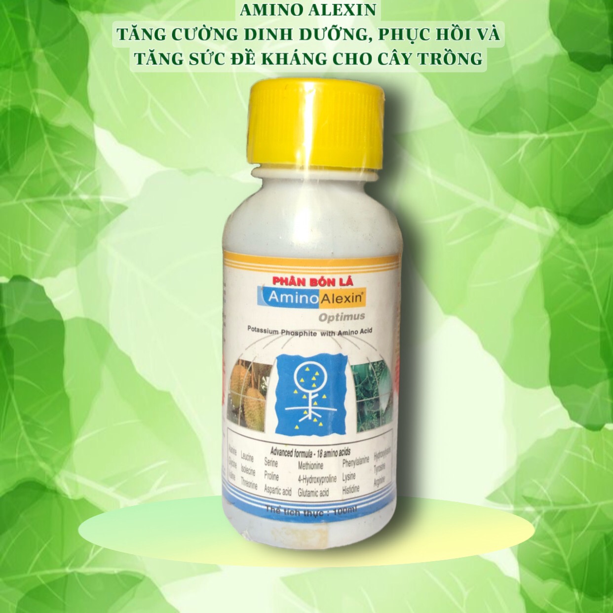 [HCM]Phân Bón Lá Amino Alexin chai 100ml