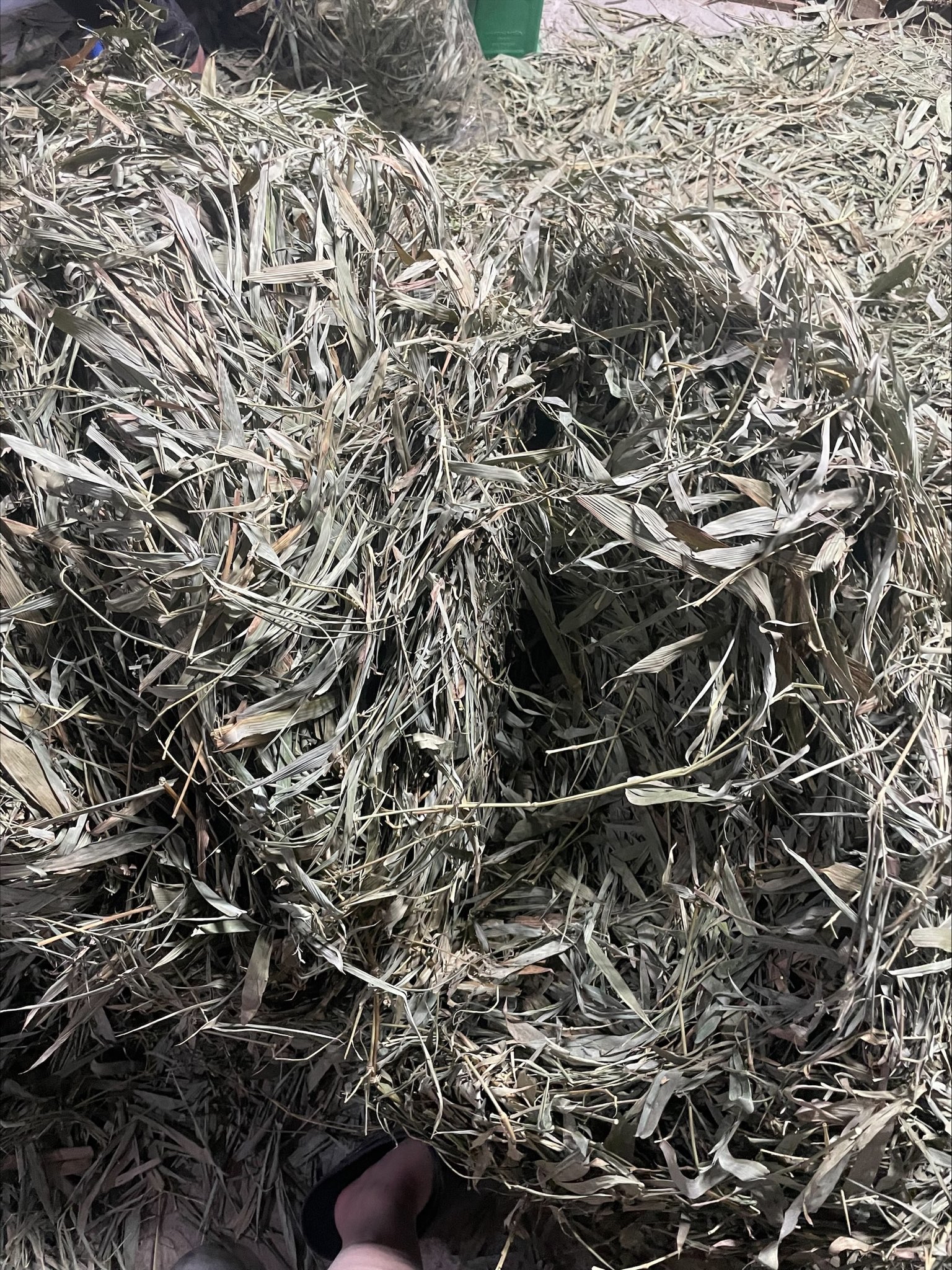 Lá tre khô 500gr hàng chuẩn loại 1