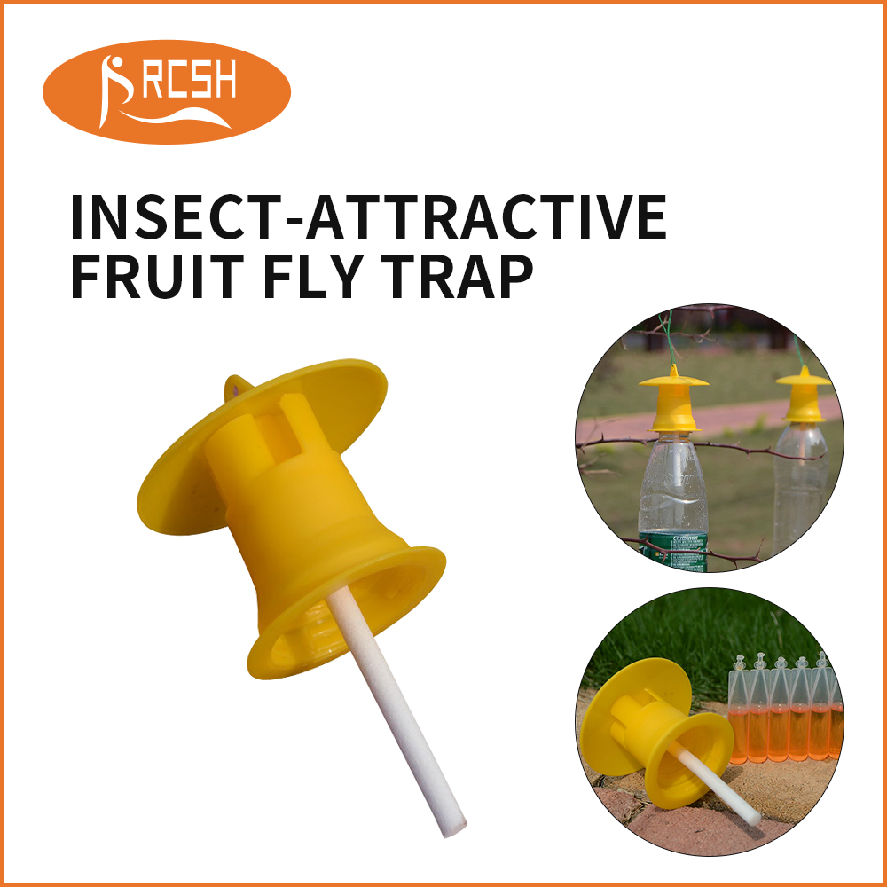 Fruit fly trap cover head with fruit fly attractant using melon fruit