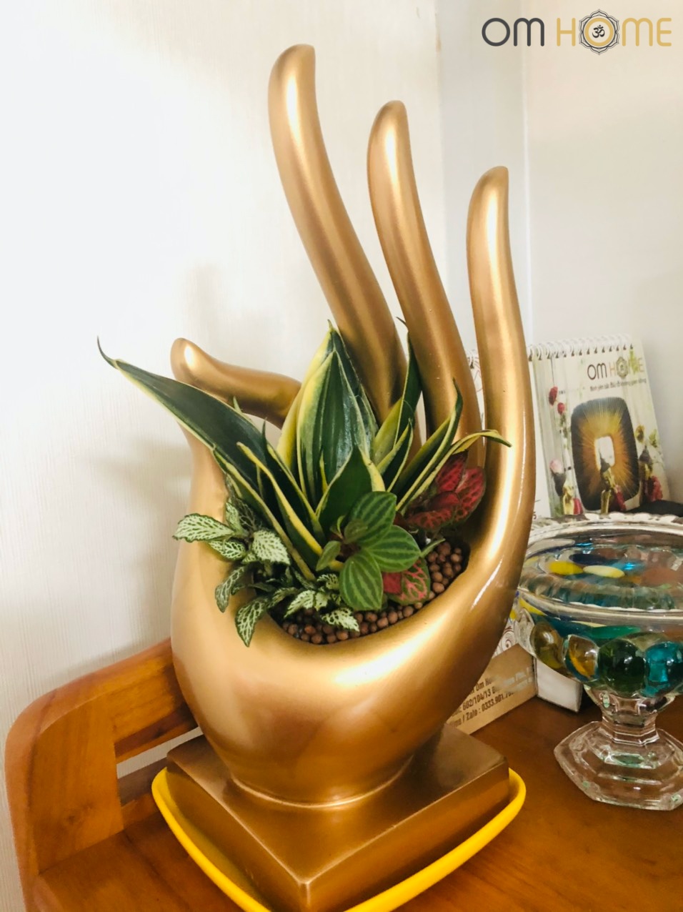 Ấn Vô Úy Có Cây Om Home (Trồng sẵn cây và chỉ giao nội thành Hồ Chí Minh)