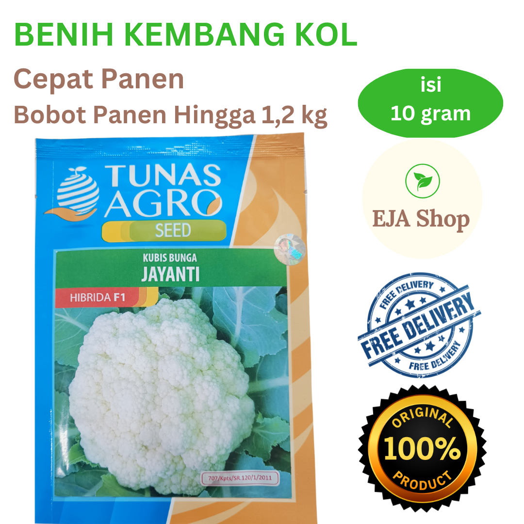 Benih Bunga Kembang Kol JAYANTI F1 Tunas Agro Isi 10 Gram Tanaman ...