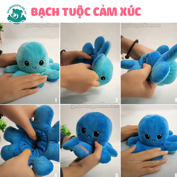 BẠCH TUỘT CẢM XÚC 15CM