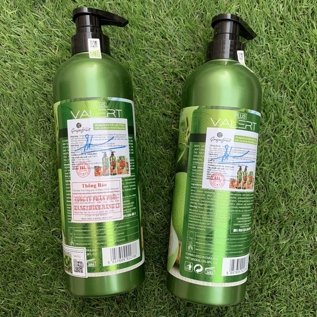 [HCM]Cặp Dầu Gội Xả Bưởi Cao Cấp GRAPEFRUIT VALER 850mlx2