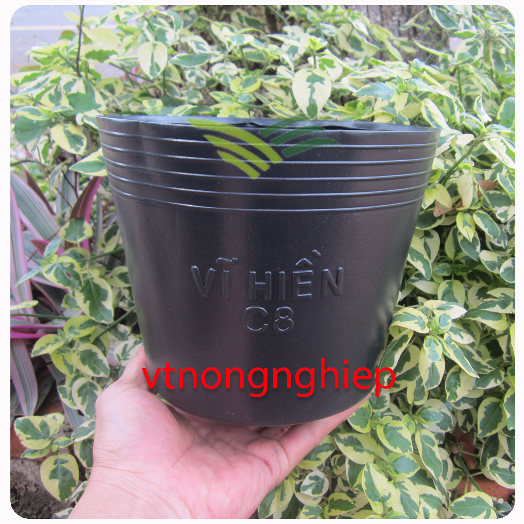 50 plastic basin C8 planting, CÂY18x14x15