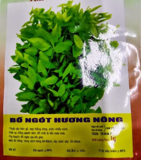 Hạt giống rau bồ ngót - gói 1 gram