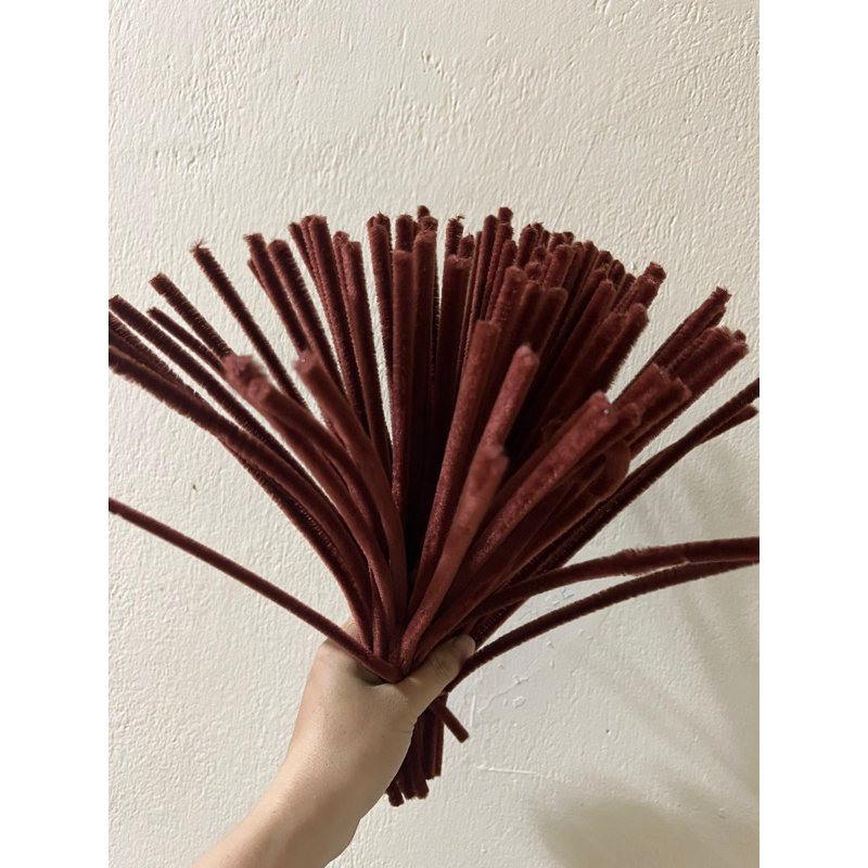 1 BÓ KẼM NHUNG( BÓ 100 CÀNH)