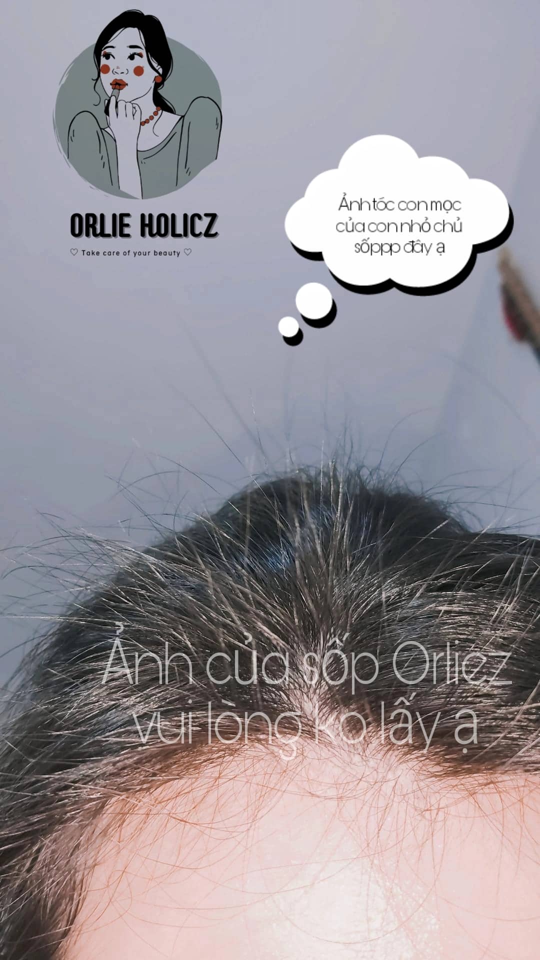 Dầu gội và dầu xả Cao Thảo Dược Soherbs